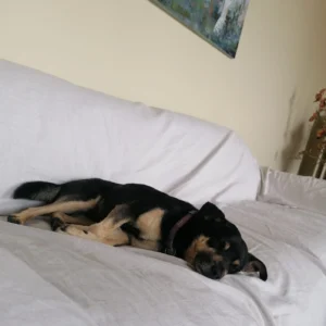 445171059 861255722712693 2084443215126690712 n