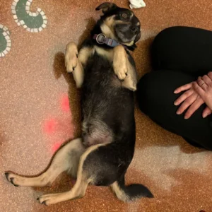 445174894 861255452712720 7284042354654903633 n