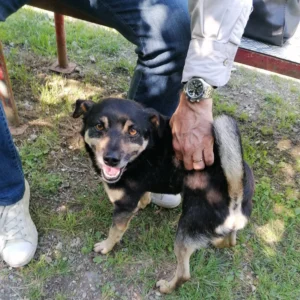 445185654 861255186046080 7241229193338958032 n