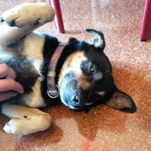 445191724 861255626046036 2638076690856066840 n