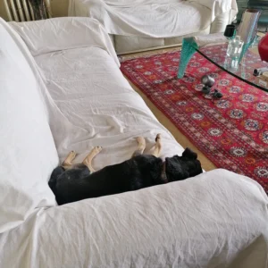 445202739 861255776046021 4288990735247536584 n