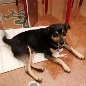 445766592 861255372712728 7901049081418632495 n