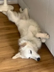 448630582 873539401484325 599874672243300343 n