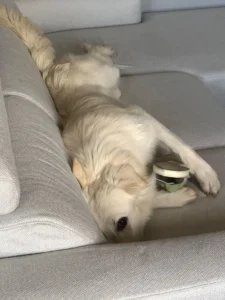 448637303 873538881484377 7236718969677274802 n