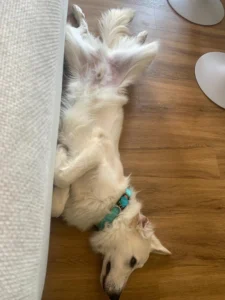 448637899 873539478150984 7811257623183039826 n