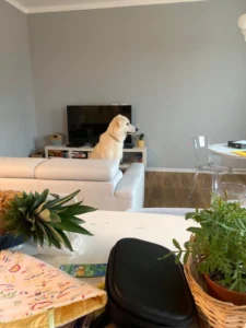 448638289 873539048151027 5677926808175551140 n