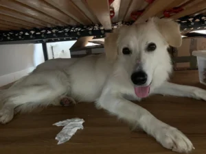 448638385 873539331484332 4527368828530091913 n