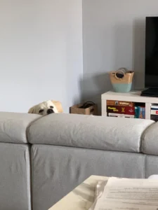 448638801 873539158151016 3926525504681103301 n