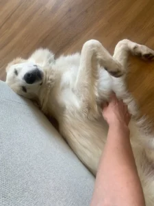 448639334 873538778151054 5963964025758802651 n