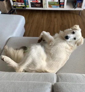 448640141 873538998151032 1568304067268139125 n