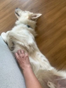 448641204 873538704817728 1241677383943273651 n