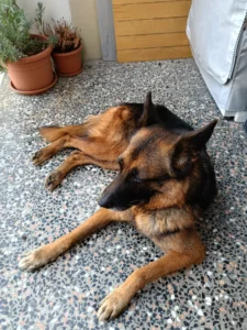 448655698 874176154753983 9181557807747924135 n