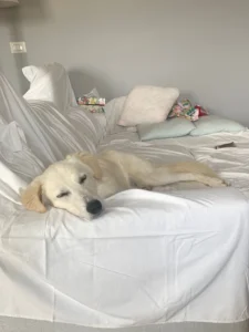 448726910 873539571484308 7263372642231886523 n