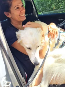 448733618 873537951484470 6791819388271182837 n