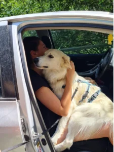 448736737 873537864817812 1893282197157586862 n