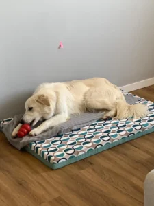 448770354 873538078151124 6612592538946928733 n