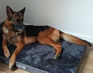 448771767 874175984754000 4776150584417744700 n