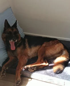 448798313 874175861420679 8860402378541354269 n