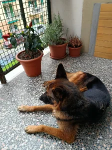 448834346 874176244753974 864384242094215917 n