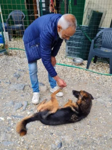 448866061 874175774754021 5498343241449738575 n