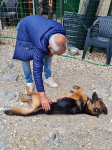 448866262 874175704754028 8429155646625812727 n