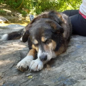 449723866 884214513750147 8331707009985355679 n