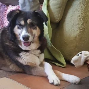 449754267 884213443750254 6890198281018447227 n