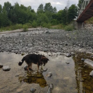 449764120 884214233750175 6195864221765501505 n