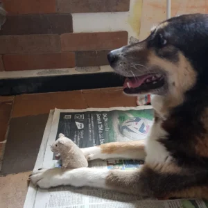 449949548 884214563750142 7314316479711659204 n