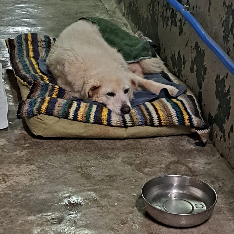 450052876 885689623602636 7575081771735491853 n