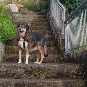 450052893 884214427083489 8093385412929557575 n