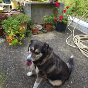 450066072 884214347083497 2741296134502711669 n