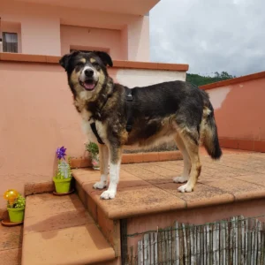 450066675 884213953750203 4141236910780620054 n