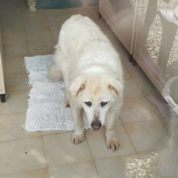 450070053 885680020270263 6490278295889254364 n