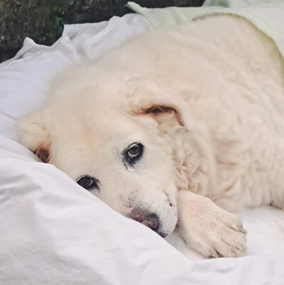 450136396 885679776936954 2145198357738566040 n