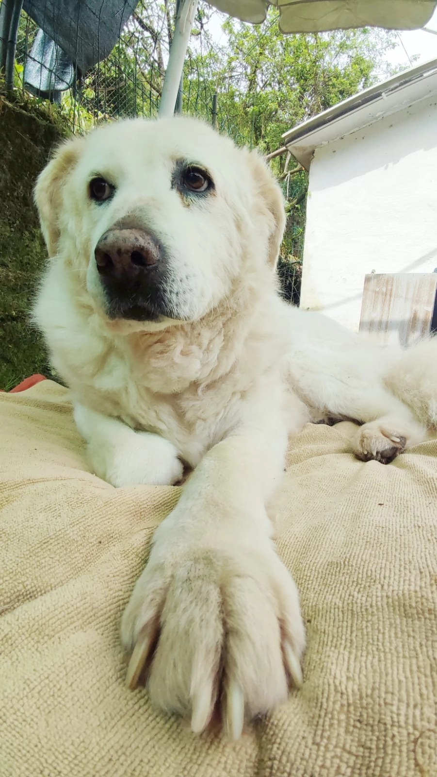 450136583 885679503603648 7933718243800436176 n