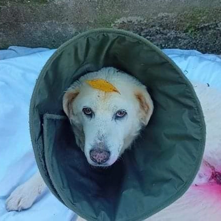 450141338 885678910270374 5653753872324609946 n