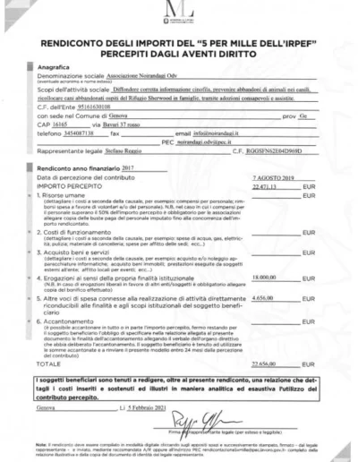 15 Rendiconti 5x1000 1