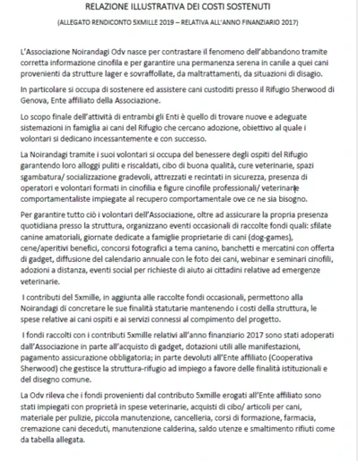 17 Rendiconti 5x1000 1