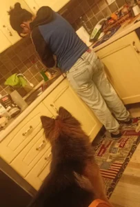 450254090 888103846694547 5772110508260851924 n