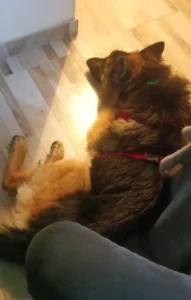 450631372 888103880027877 8641932398707942478 n