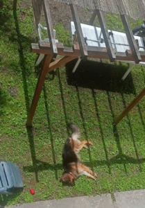 450905709 888103803361218 3878658663715117149 n