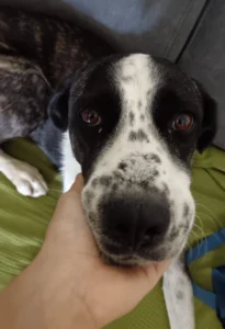 454581611 906622008176064 8787150669322428302 n