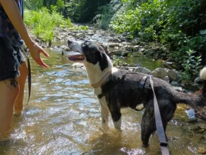 454630065 906621981509400 6040338554422503583 n