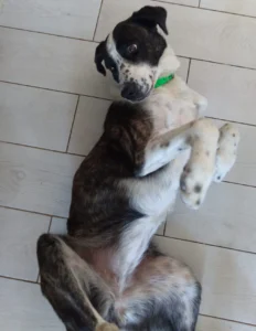 454636037 906621658176099 2466696331879663769 n