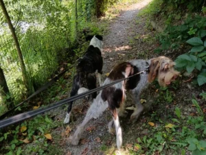 454636683 906621948176070 3993078932858605151 n