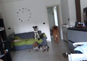 454652679 906621904842741 8643557250264438629 n