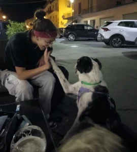 454665779 906621818176083 6363465141649948986 n