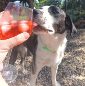 454674940 906622174842714 5948696858379247885 n