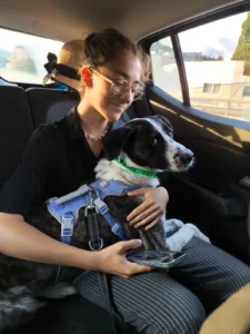 454700475 906621854842746 7747227350222701923 n